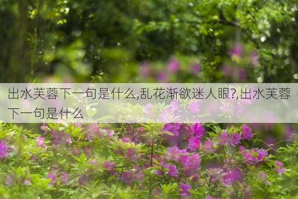 出水芙蓉下一句是什么,乱花渐欲迷人眼?,出水芙蓉下一句是什么