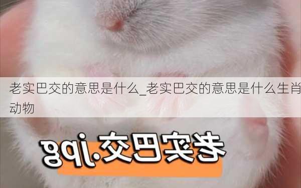 老实巴交的意思是什么_老实巴交的意思是什么生肖动物