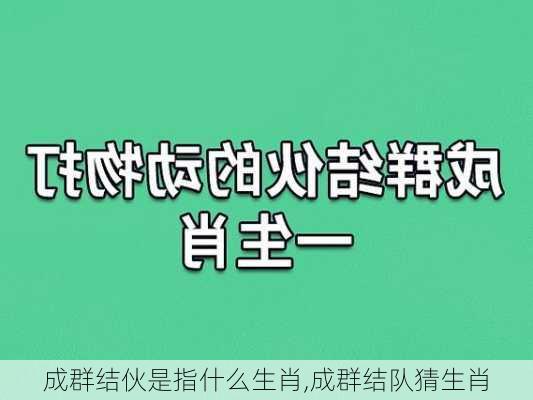 成群结伙是指什么生肖,成群结队猜生肖