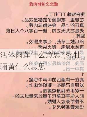 活体肉莲什么意思?,牝牡骊黄什么意思