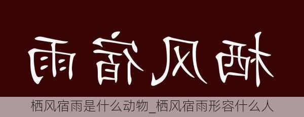 栖风宿雨是什么动物_栖风宿雨形容什么人