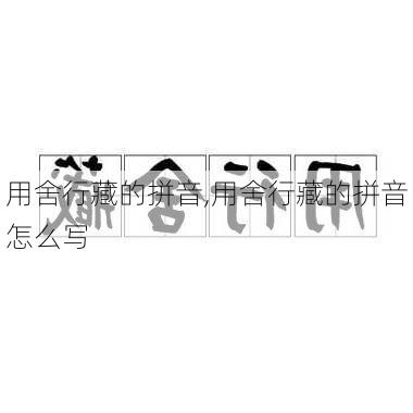 用舍行藏的拼音,用舍行藏的拼音怎么写