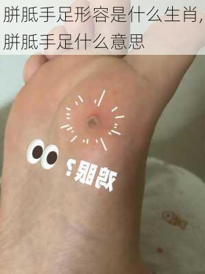 胼胝手足形容是什么生肖,胼胝手足什么意思