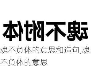 魂不负体的意思和造句,魂不负体的意思