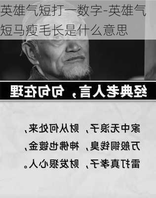 英雄气短打一数字-英雄气短马瘦毛长是什么意思