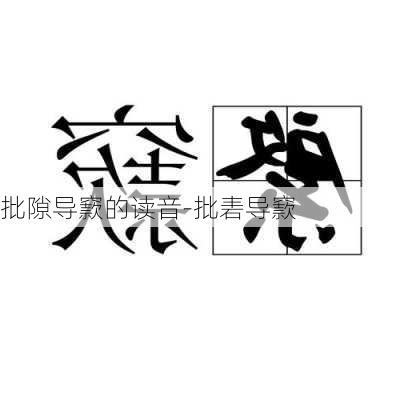 批隙导窾的读音-批砉导窾