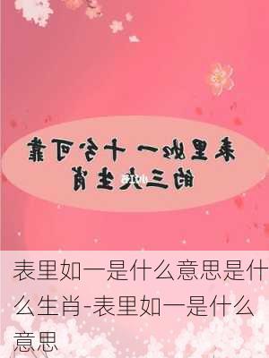 表里如一是什么意思是什么生肖-表里如一是什么意思